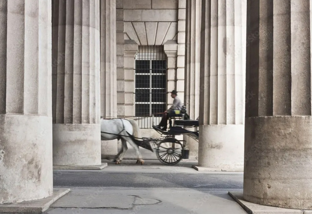 Carriage in VIenna