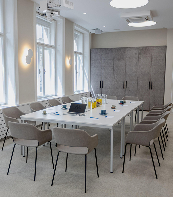 Meeting Room LOVIS